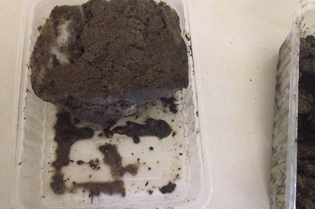 Коммунальные службы Екатеринбурга сосредоточились на вывозе грязи