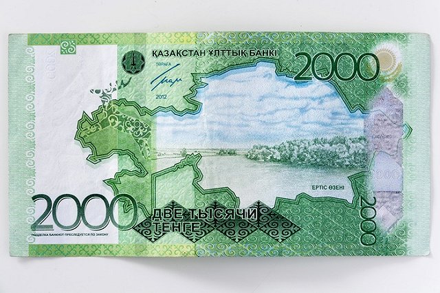 Пара мышей в Казахстане съела деньги в банкомате