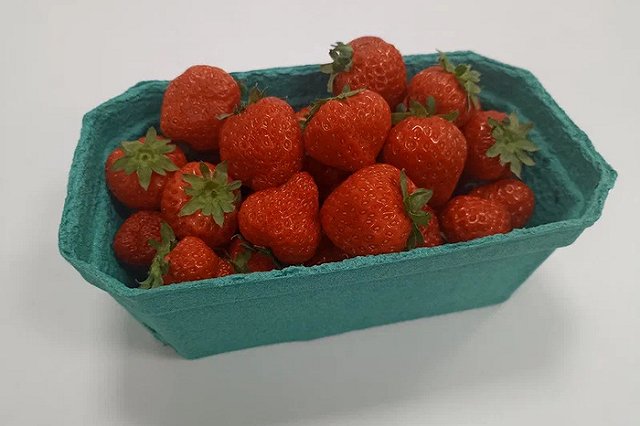 Первый промышленный урожай клубники получен в Свердловской области