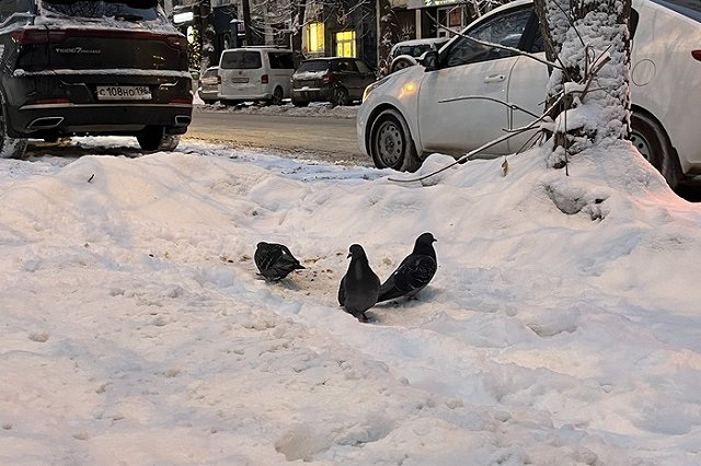 Синоптики сообщили, когда наконец-то похолодает в Свердловской области