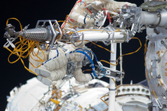 Китайских космонавтов хотят кормить червями со специями