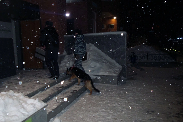 В Екатеринбурге налетчики похитили из автосалона около 50 млн рублей