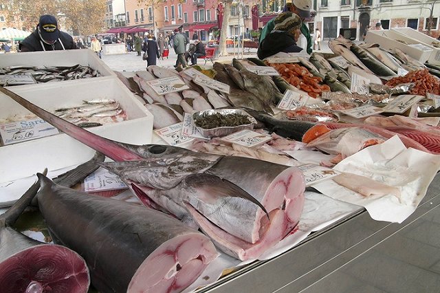 Рыба-меч распугала туристов на пляже Светлогорска