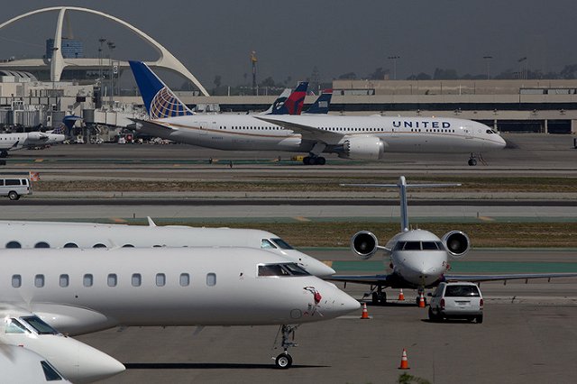 Собака умерла после требования стюардессы поместить ее на багажную полку