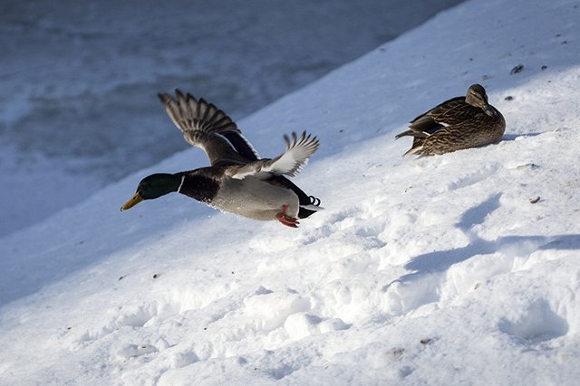СК ищет родственников мужчины, найденного с проломленной головой в реке (ФОТО)