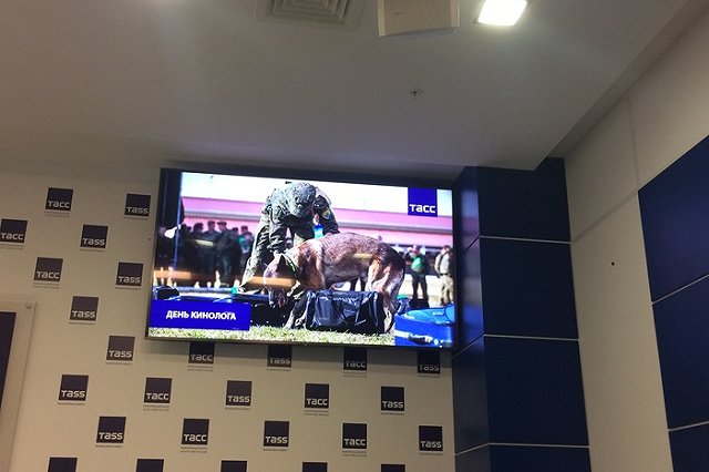 Наркотики, табачные изделия и деньги может определить собачий нос