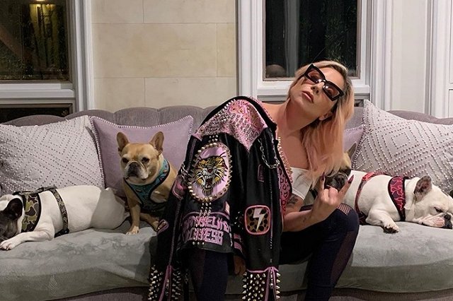 ВОЗ при поддержке Леди Гаги проведёт 18 апреля онлайн-концерт звёзд мировой эстрады