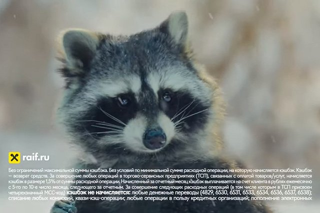 Головная структура Райффайзенбанка не исключила «тщательно продуманного ухода» из РФ