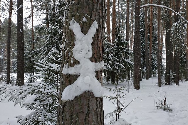 В Нижнем Тагиле старшеклассники поставили мальчика на колени за брошенный снежок