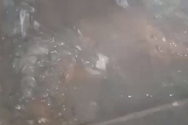 «Рискуем заболеть кишечной палочкой»: екатеринбургский жилой дом затопило фекалиями