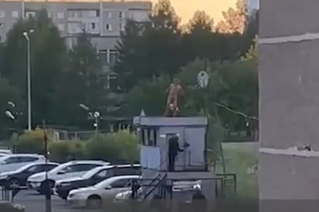 Голый свердловчанин забрался на крышу сторожевой будки и отбивался палкой от призрака