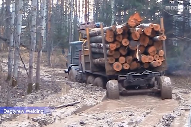 Полиция Екатеринбурга изъяла машину незаконного леса