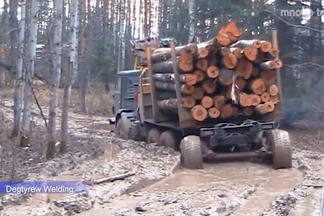 Полиция Екатеринбурга изъяла машину незаконного леса