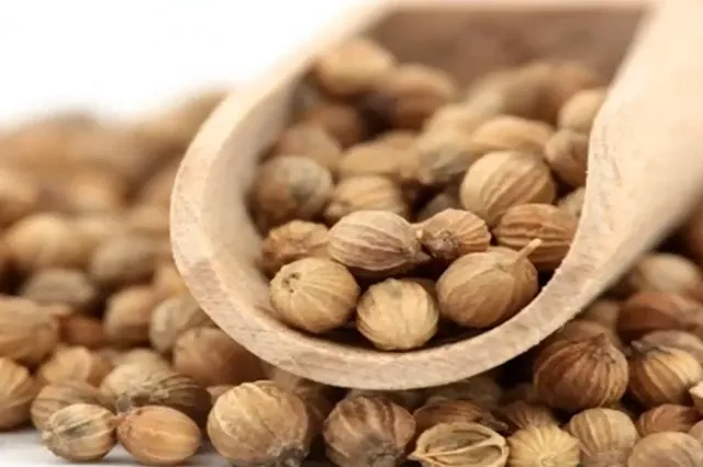 В Екатеринбург уничтожили 300 килограммов опасного кориандра