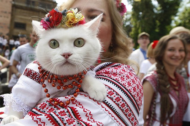 В День вышиванки Верховная рада Украины переименовала Днепропетровск