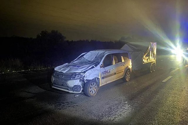 На Урале автомобиль столкнулся с лошадью