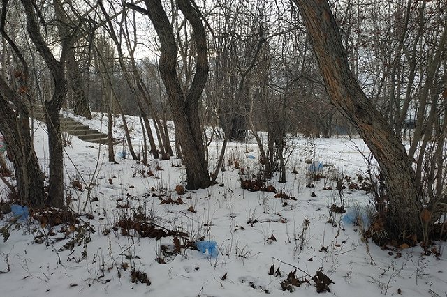 Сжигание мусора решили официально приравнять к переработке отходов