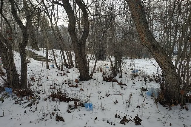 Сжигание мусора решили официально приравнять к переработке отходов