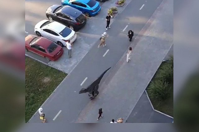 В Академическом заметили динозавра