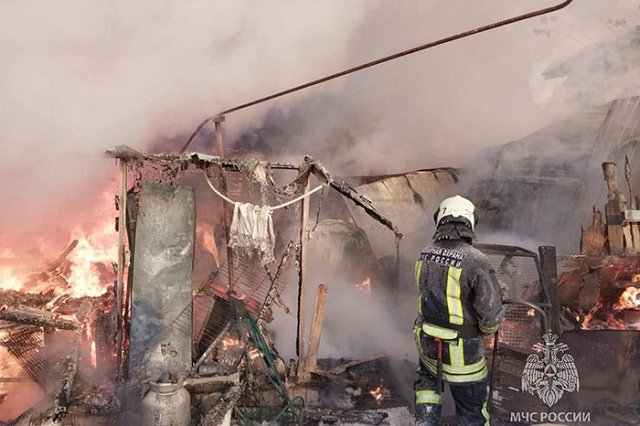 Погибли десятки животных: Екатеринбурге сгорел приют для кошек и собак