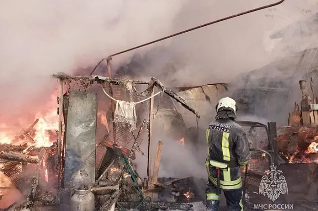 Погибли десятки животных: Екатеринбурге сгорел приют для кошек и собак