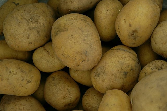 Картофельная ярмарка пройдет в субботу 24 октября в Екатеринбурге