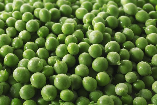 Житель Нижнего Тагила обнаружил в банке с зеленым горошком ящерицу