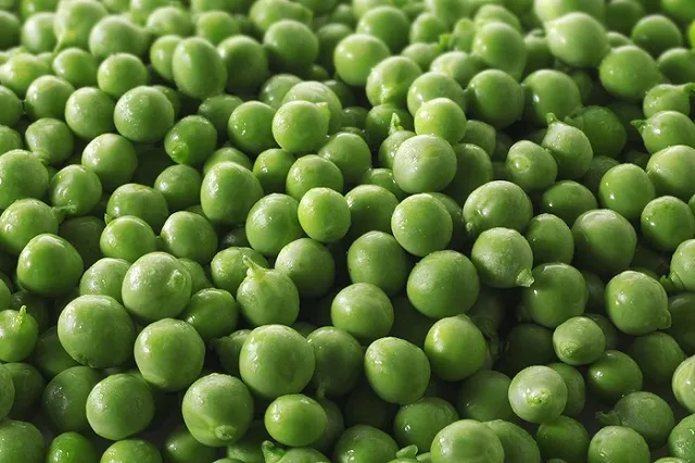 Житель Нижнего Тагила обнаружил в банке с зеленым горошком ящерицу