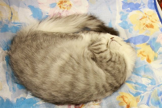 Больше тепла: в Екатеринбурге начался третий этап отопительного сезона