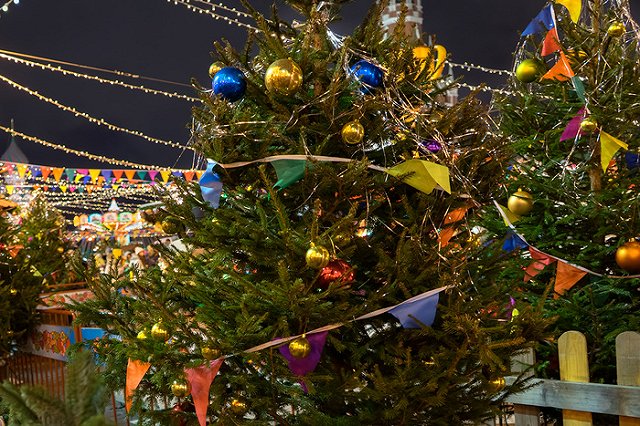 В Екатеринбурге снегоуборочную технику украсят гирляндами с шишками и бантами