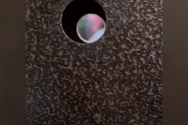 Вырвали глаз: в многоэтажке Екатеринбурга неизвестные устроили бойню