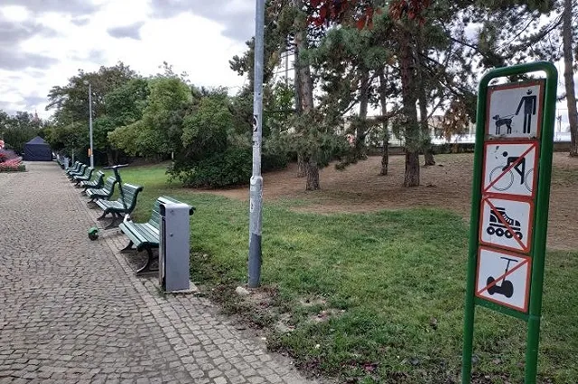 В Свердловской области собаководов обязали убирать за своими питомцами на улице