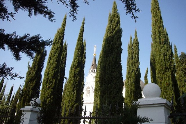 Российские курорты освоят систему обслуживания «все включено»