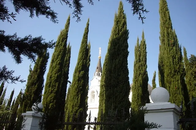 Российские курорты освоят систему обслуживания «все включено»