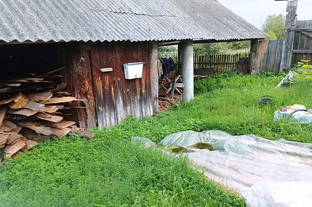 Двум братьям-душегубам грозит пожизненное за двойное убийство студенток в 2012 году