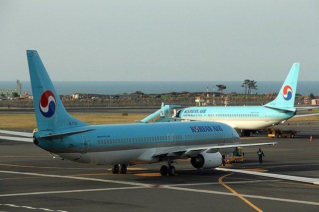 Дочь главы Korean Air приговорена к году тюрьмы из-за скандала с орешками