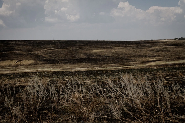 Жителям Ростовской области выплатят компенсации за артобстрелы