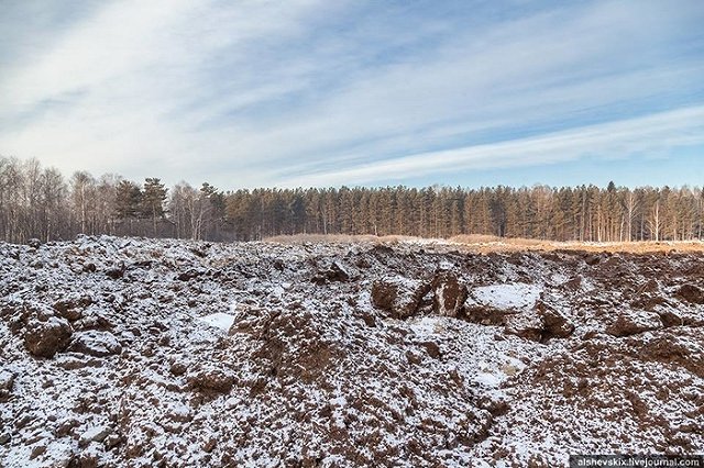 Россельхознадзор подтвердил возможную экологическую катастрофу в регионе