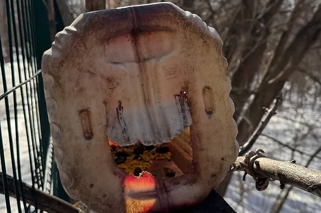 Парк Маяковского в Екатеринбурге избавится от «доморощенных» кормушек