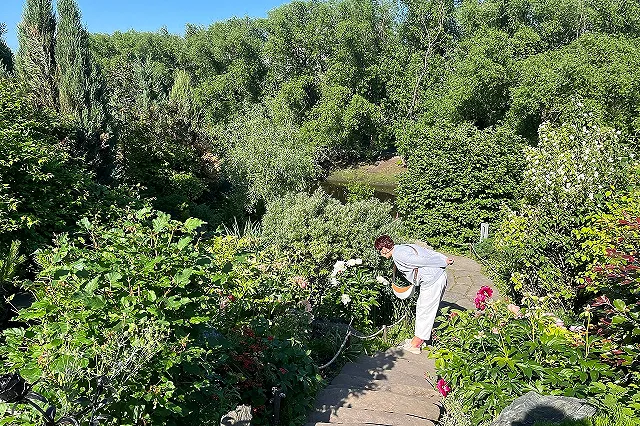 Дачникам назвали растения, за выращивание которых их могут привлечь к уголовной ответственности