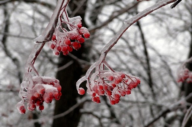 Свердловские энергетики перешли на усиленный режим работы