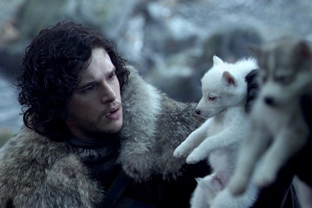 Фанаты «Игры престолов» массово бросают купленных хаски