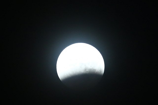 Сосед-педофил убил 7-летнего мальчика в Курской области (ФОТО)