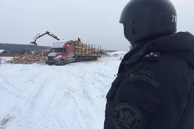 Приставы арестовали у должника 10 лесовозов, чтобы он вернул подрядчику долг