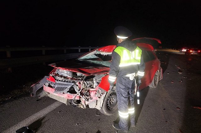 На трассе под Екатеринбургом иномарка столкнулась с лосем