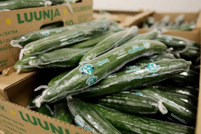 Глава Россельхознадзора: Кризис в Европе вскоре может вынудить ее закупать овощи у России