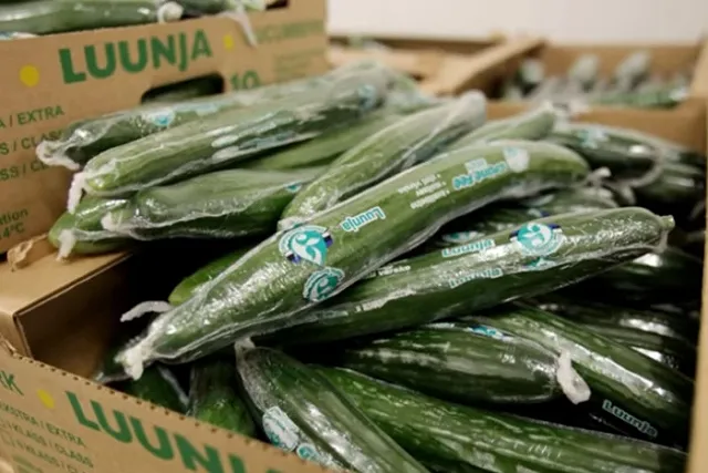 Глава Россельхознадзора: Кризис в Европе вскоре может вынудить ее закупать овощи у России