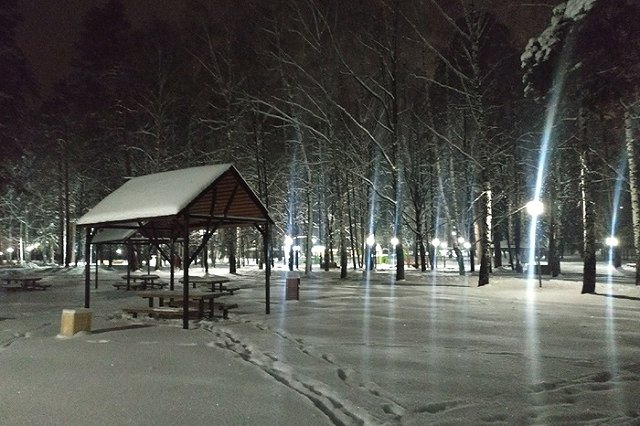 Сотрудница свердловской колонии вынесла на себе из леса замерзавшую женщину