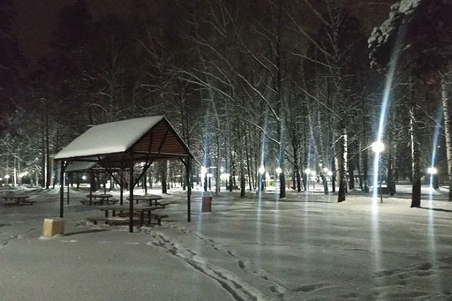 Сотрудница свердловской колонии вынесла на себе из леса замерзавшую женщину