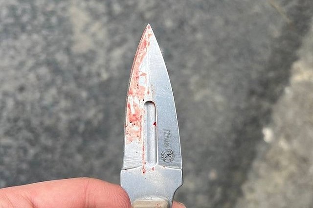 Подозреваемому в теракте в «Крокусе» при задержании отрезали ухо